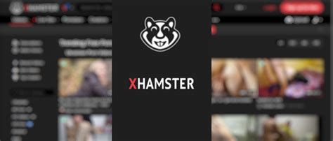 xhamster. net|High